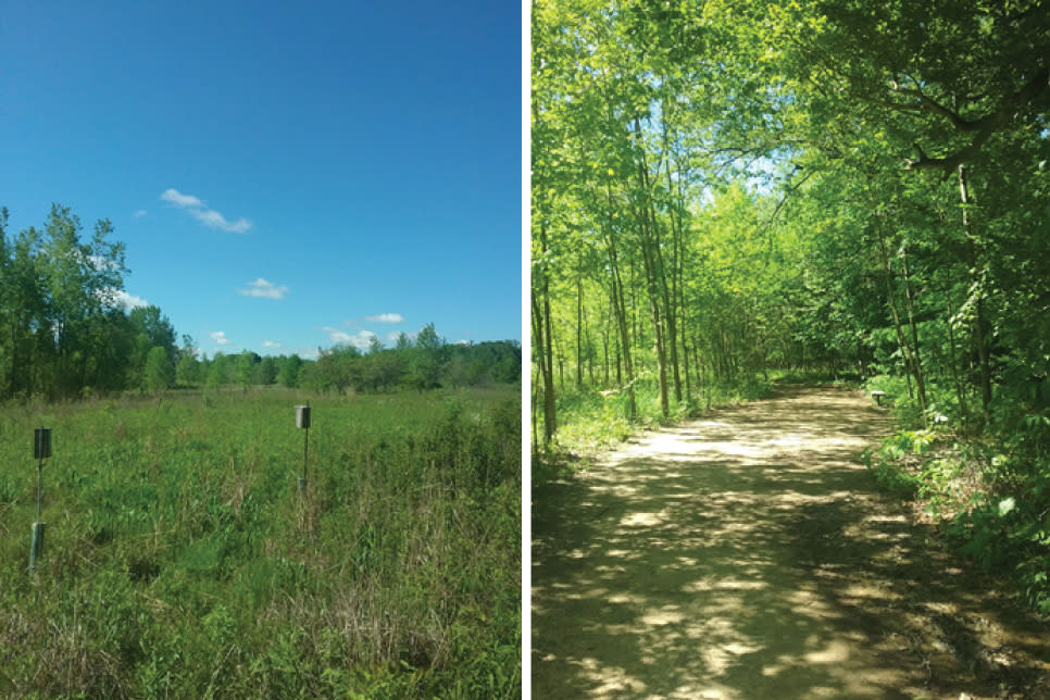 Coffee Creek Watershed Preserve - Katharine Stob