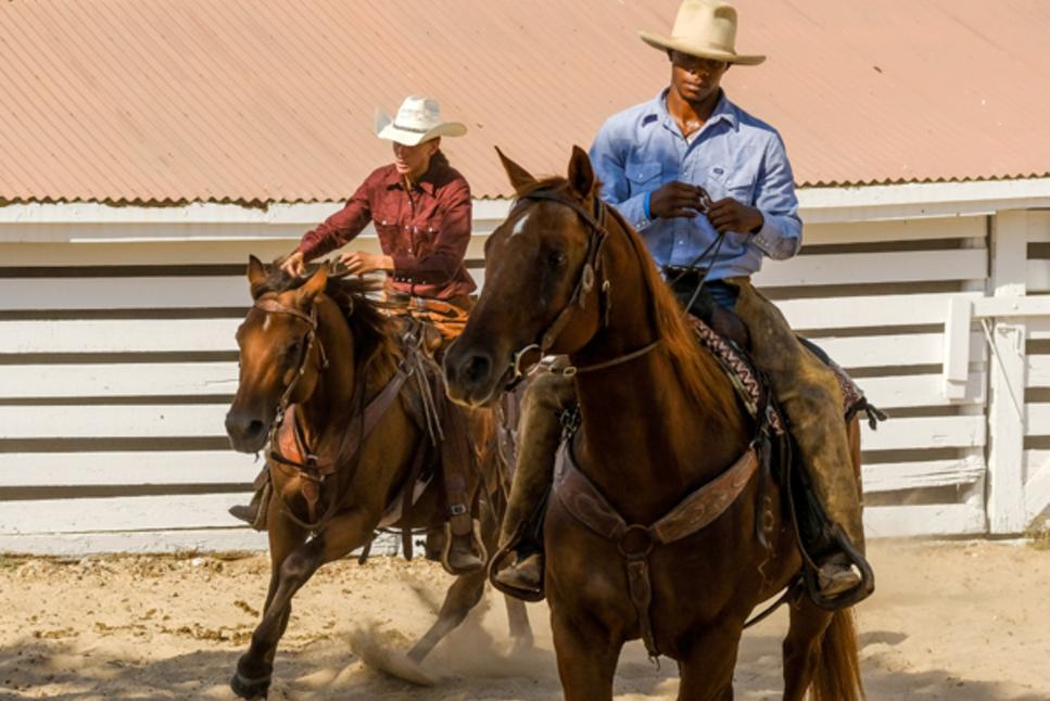 Horses and Riders
