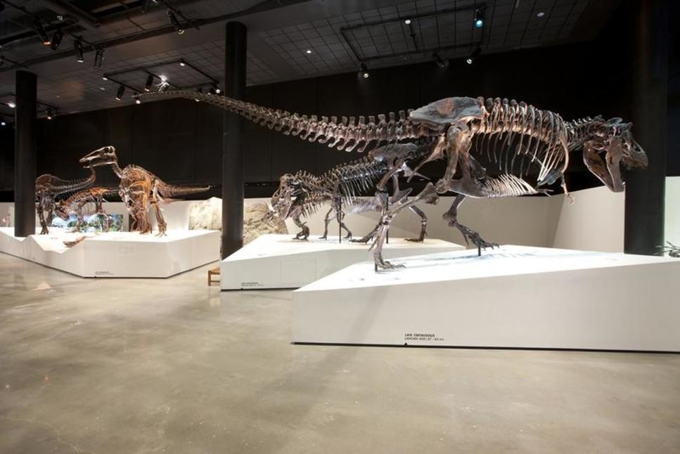 HMNS