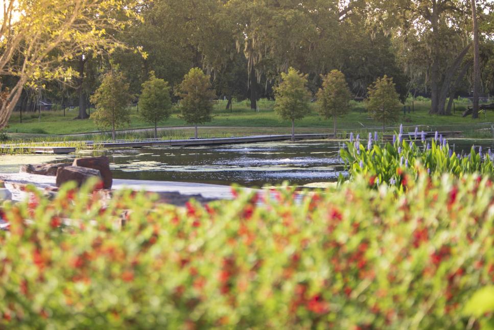 Houston Botanic Garden