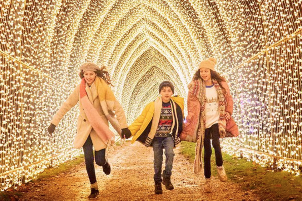 Houston Botanic Garden Estrena Lightscape Entradas Estan A La Venta