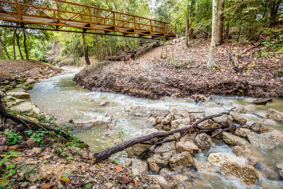 Houston Arboretum & Nature Center
