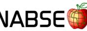 NABSE logo NABSE logo