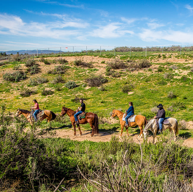 Temecula Bucket List Adventures Activities Temecula CA