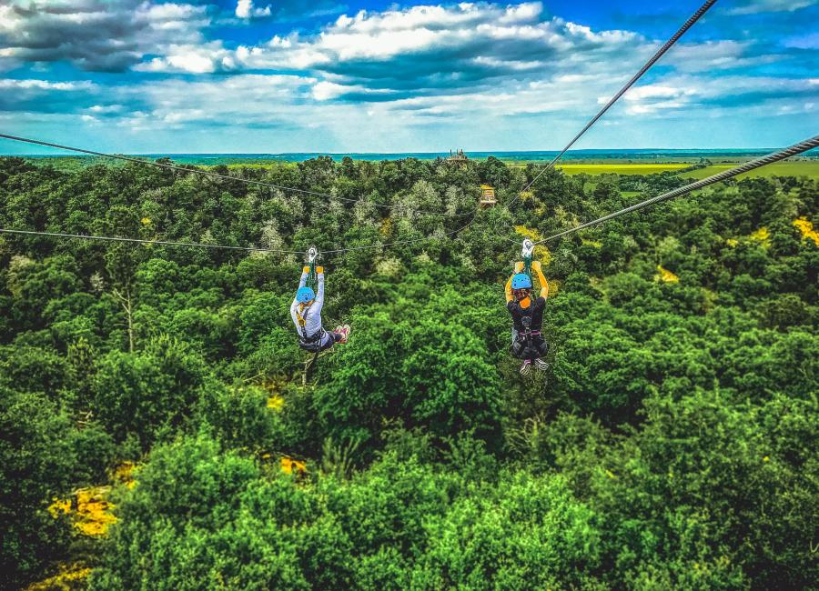 Zippin' thru the pines