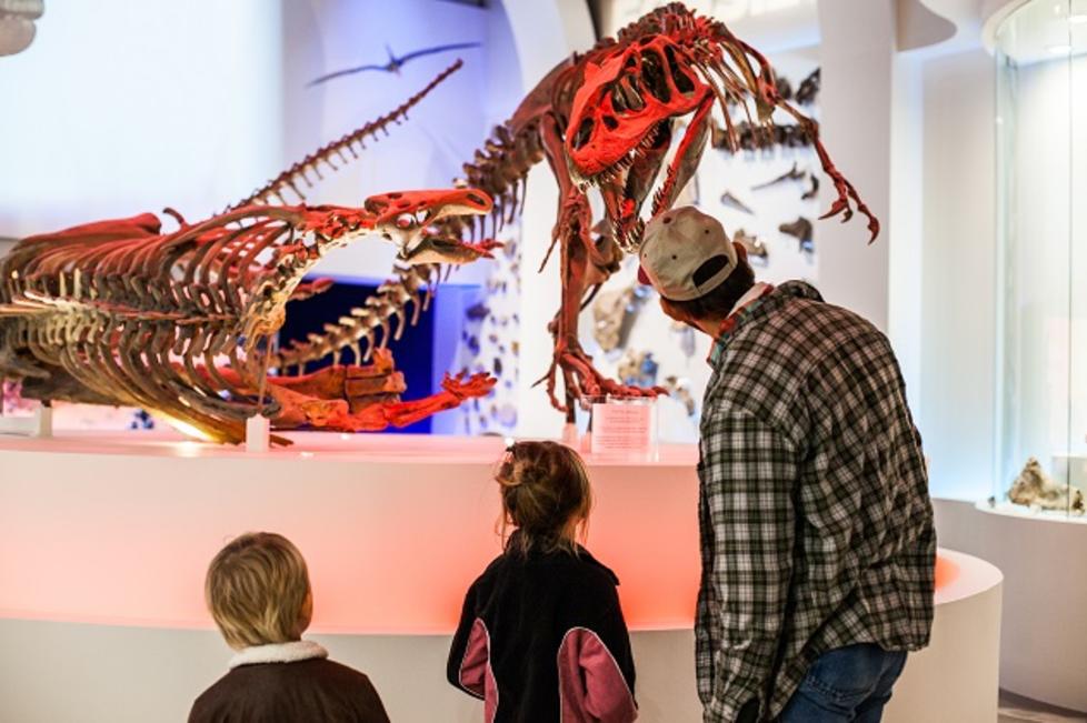 Fort Worth Museum of Science and History | Fort Worth, TX 76107