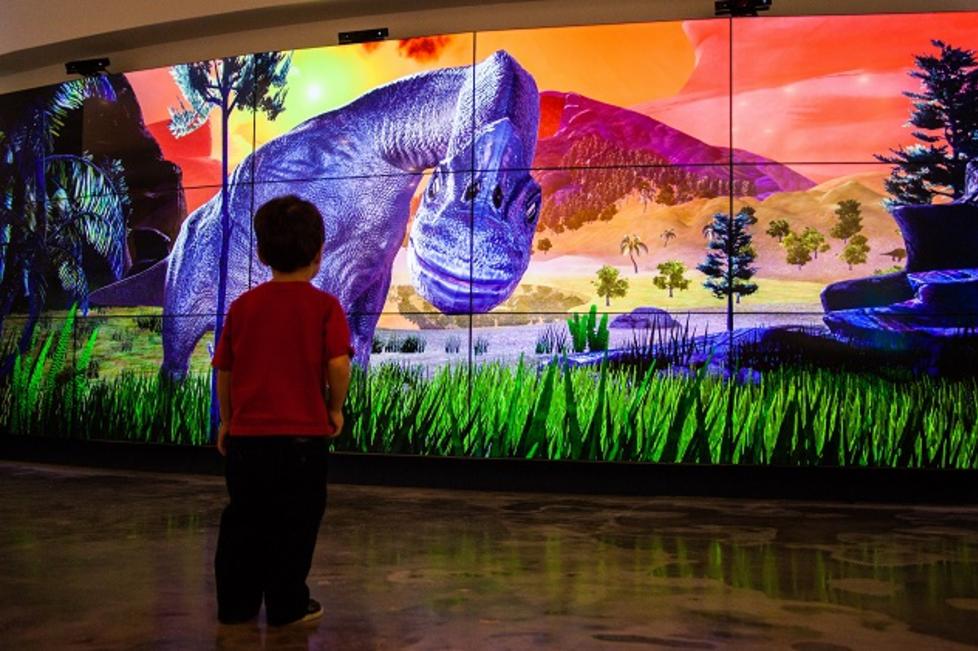 Fort Worth Museum of Science and History | Fort Worth, TX 76107
