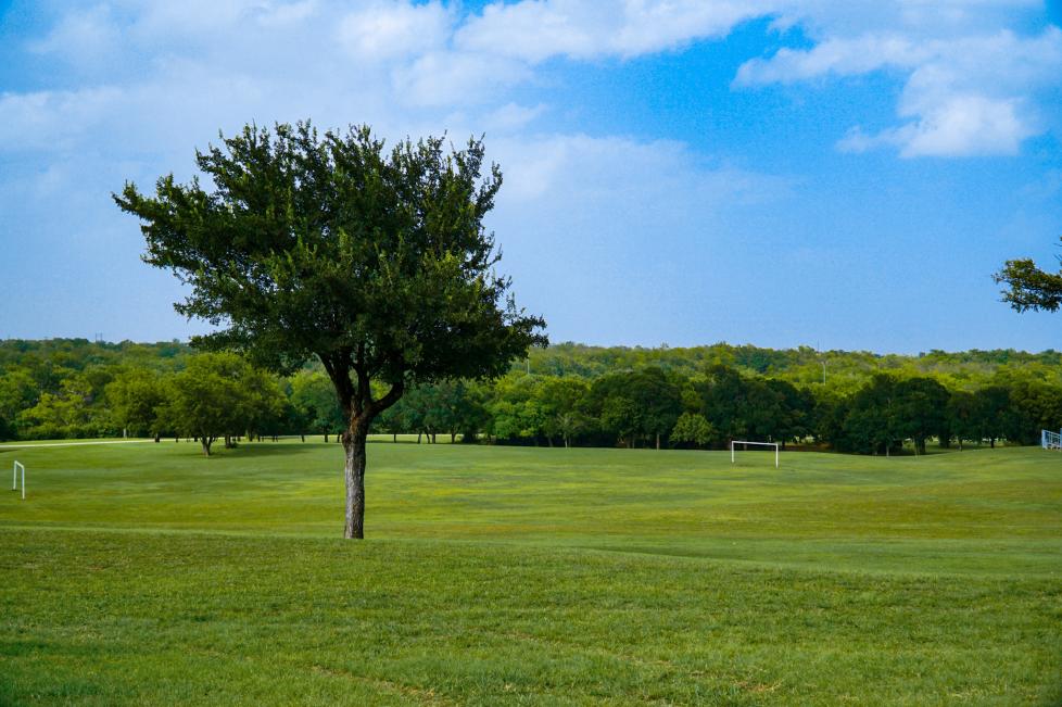Buck Sansom Park