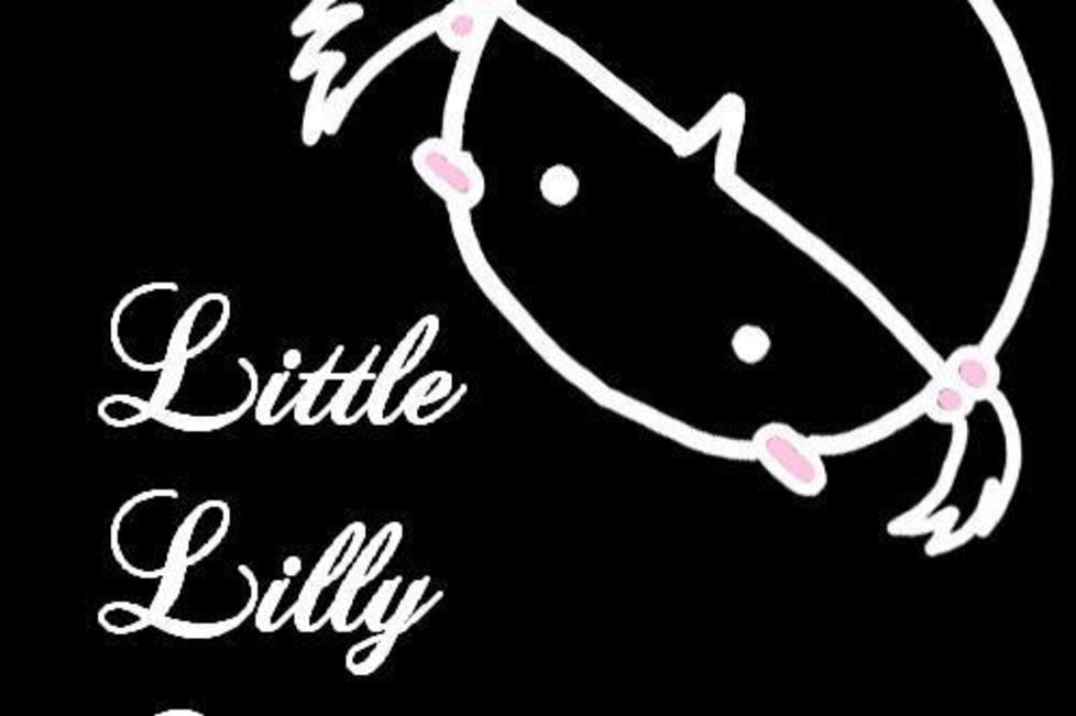 Little Lilly Sushi