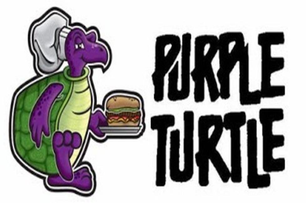 purple-turtle