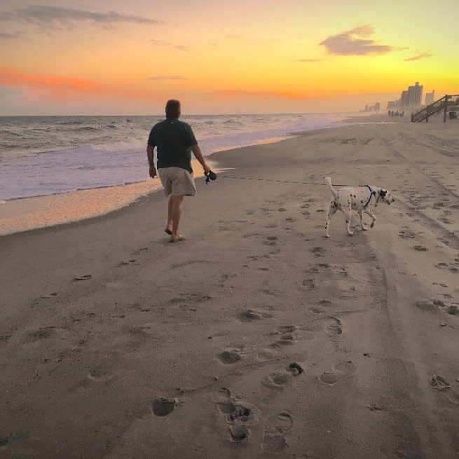 Pet Friendly Myrtle Beach, SC Lodging, Dining & Beaches