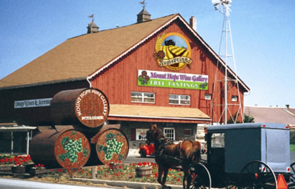 Rumspringa Brewing Company