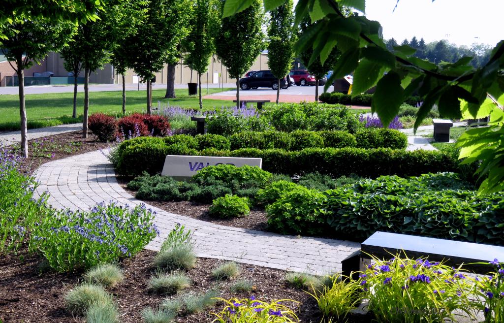 Veterans Memorial Gold Star Garden