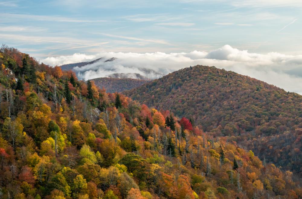 Asheville 2019 Fall Color Report & Forecast Scenic Views Asheville