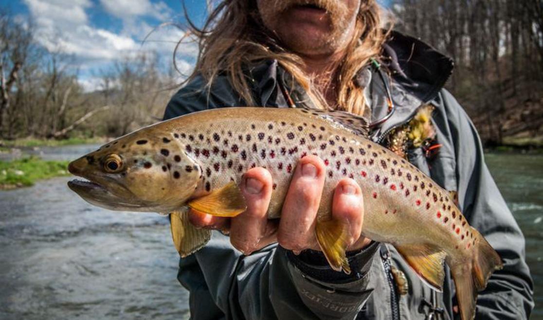 Elk Creek Outfitters