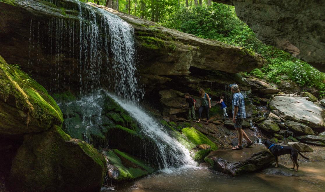 Otter Falls Family - Lynn Willis