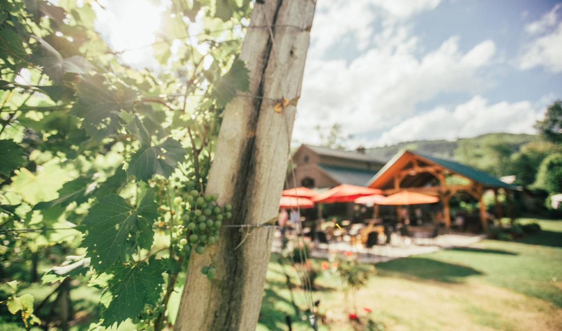 Grandfather Vineyard and Winery