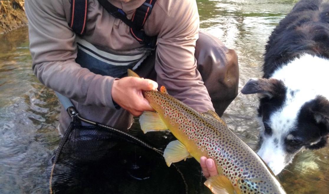 Flyfishing with Riverstone