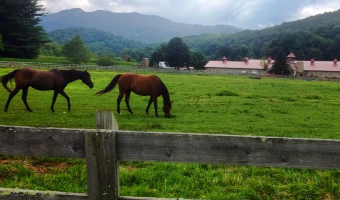 GrandfatherStables