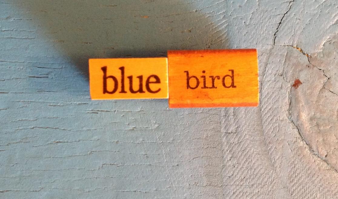 BlueBird1