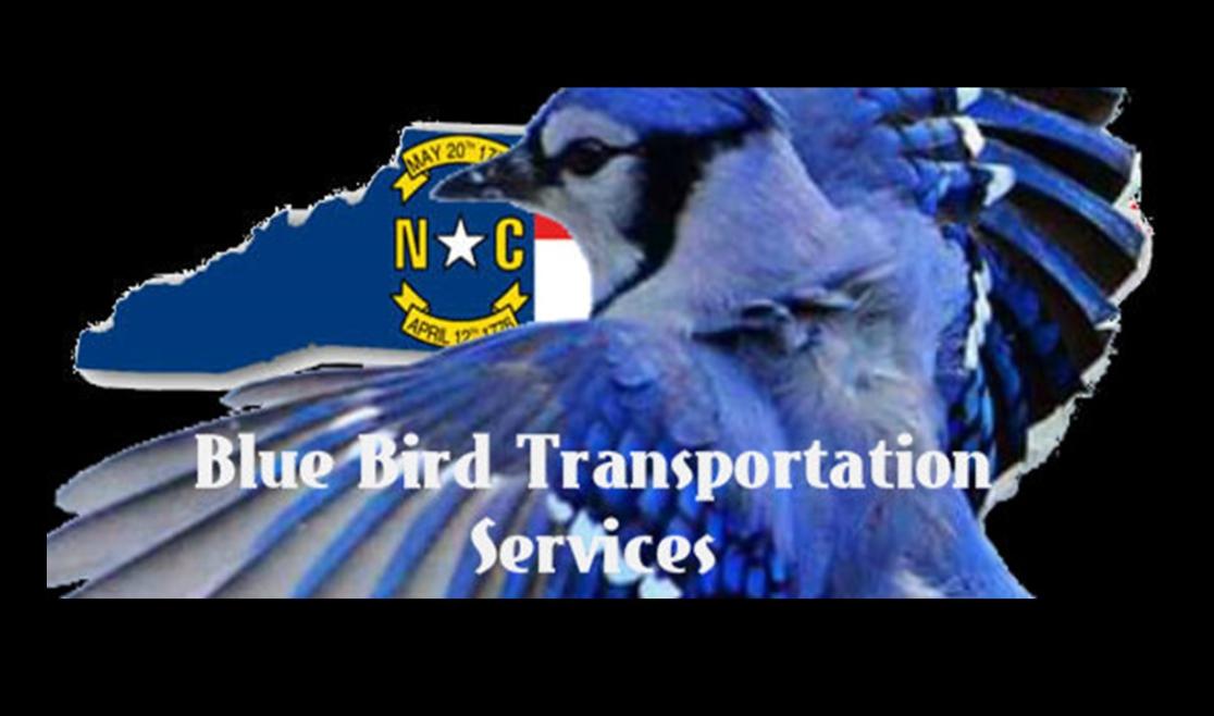 Blue Bird Transportation