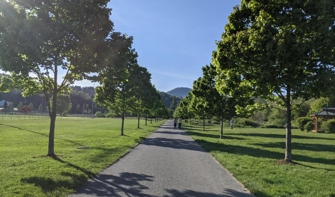 Boone Greenway Path