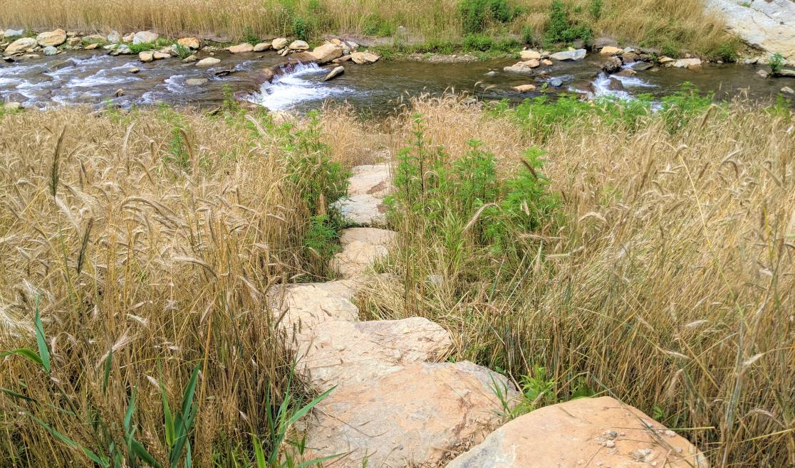 Payne Branch Park river access