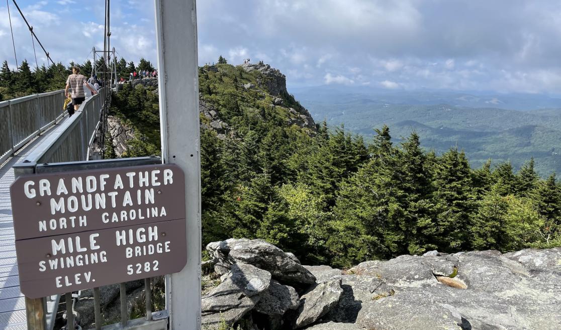 Eagles - Grandfather Mountain