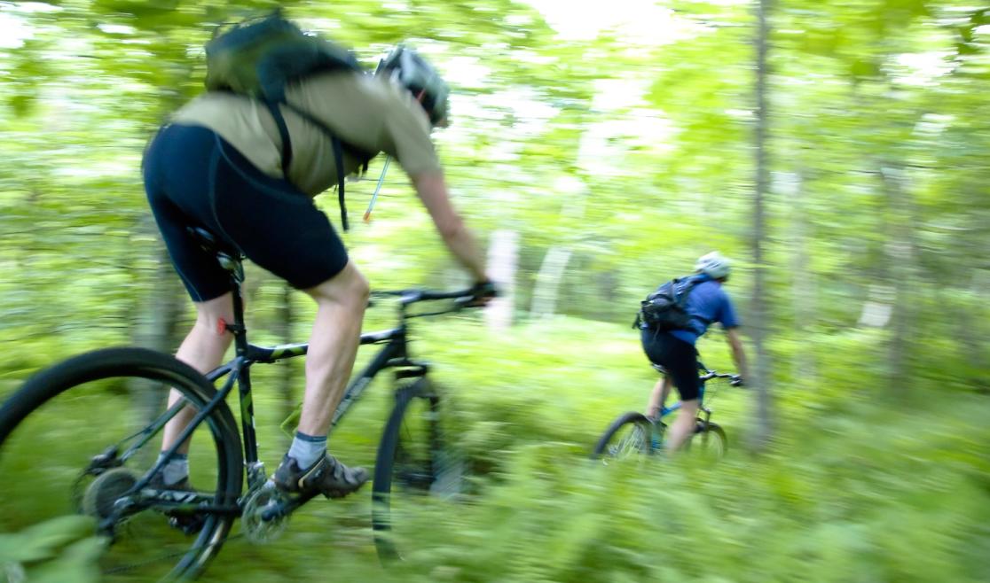 Adventure Trail Park 05 - CREDIT Kristian Jackson.JPG