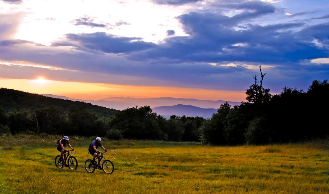 Emerald Outback Mountain Bike Trails