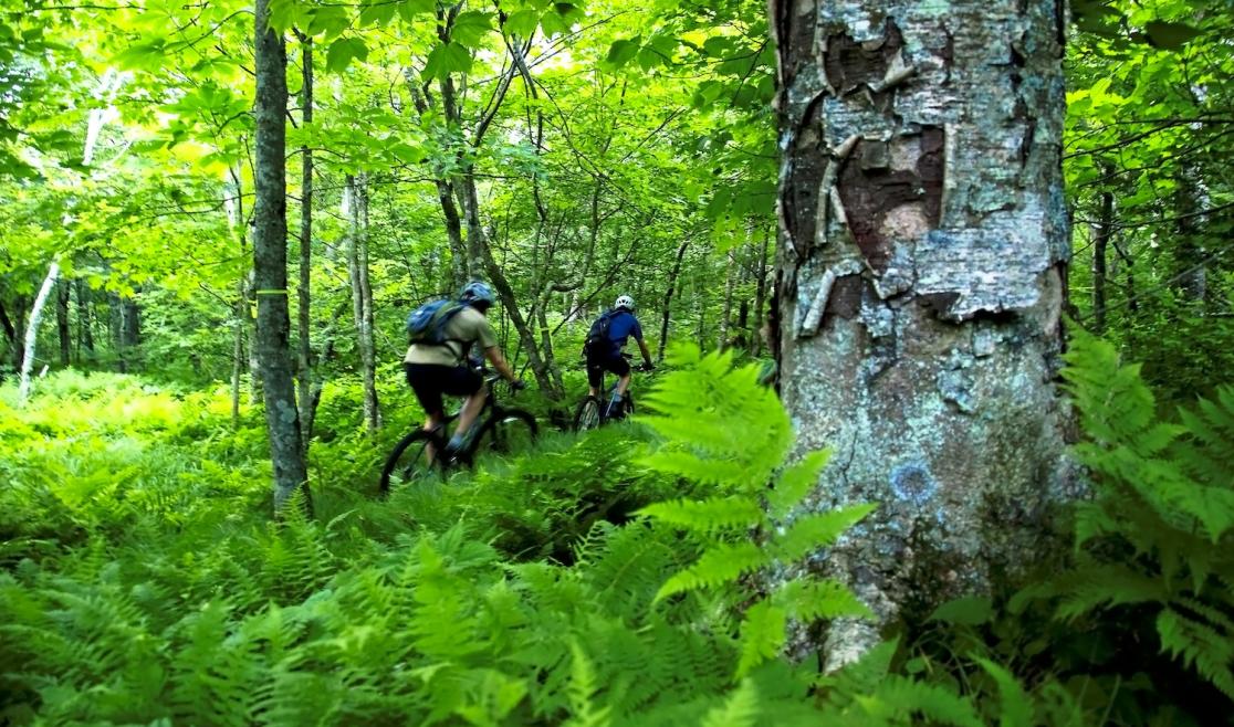 Adventure Trail Park 04 - CREDIT Kristian Jackson.JPG