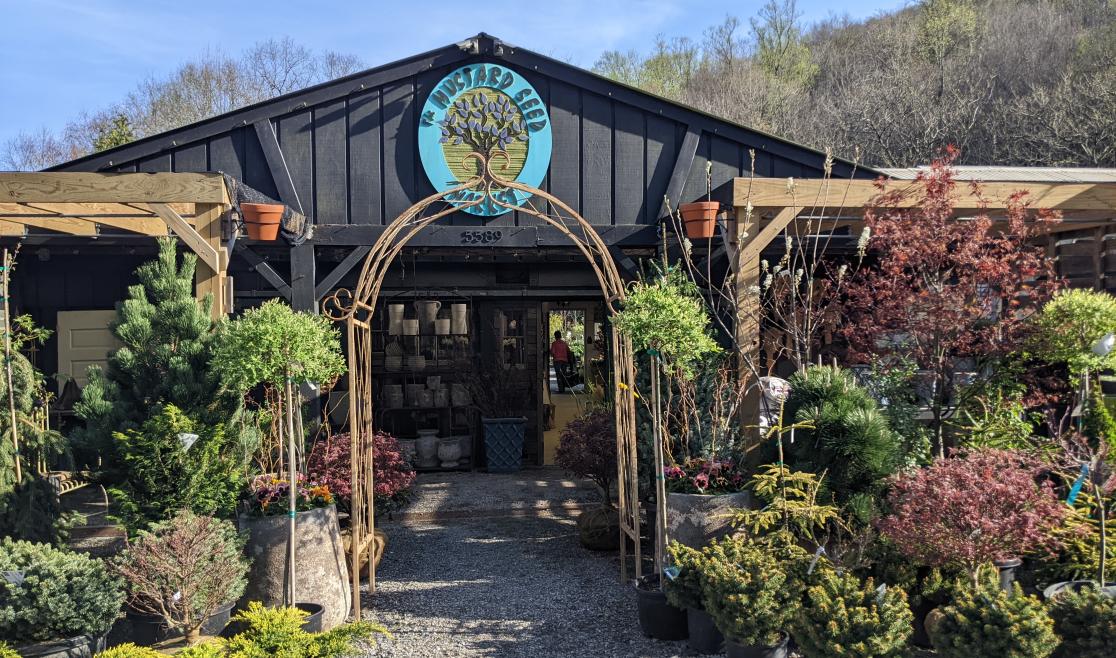 The Mustard Seed Market