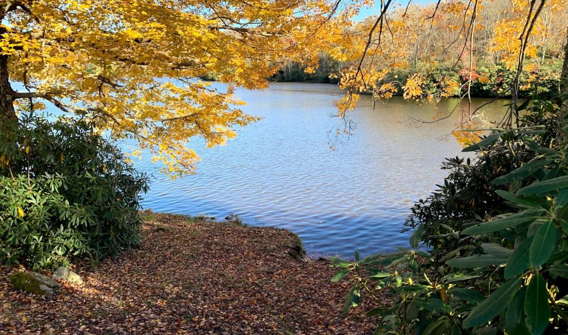 Julian Price Lake in Fall, Photo by Michelle Ligon.jpg