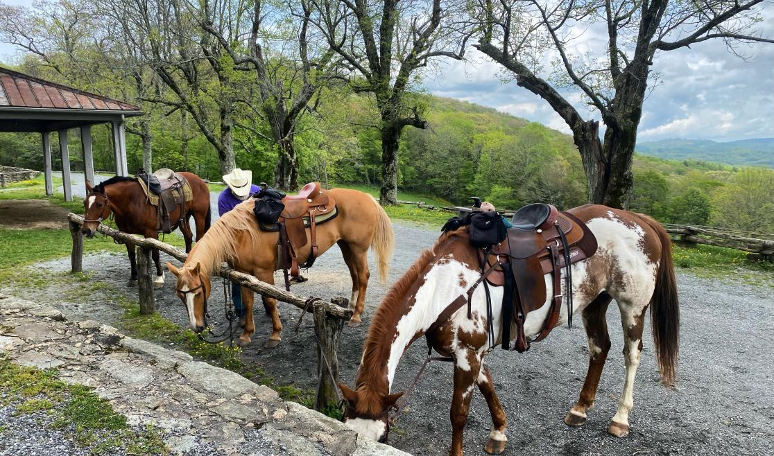 Blowing Rock Trail Rides.JPG