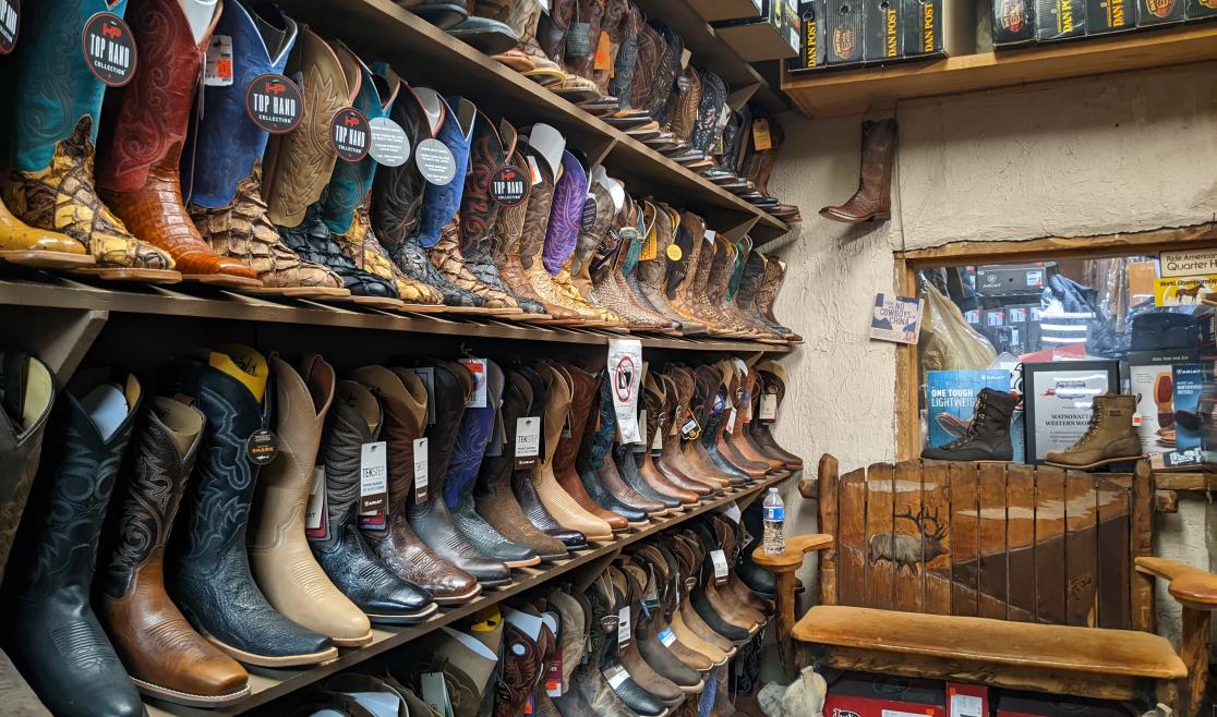 World western shop new arrivals