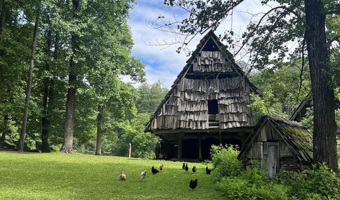 Turtle Island Preserve via Carolyn.jpg