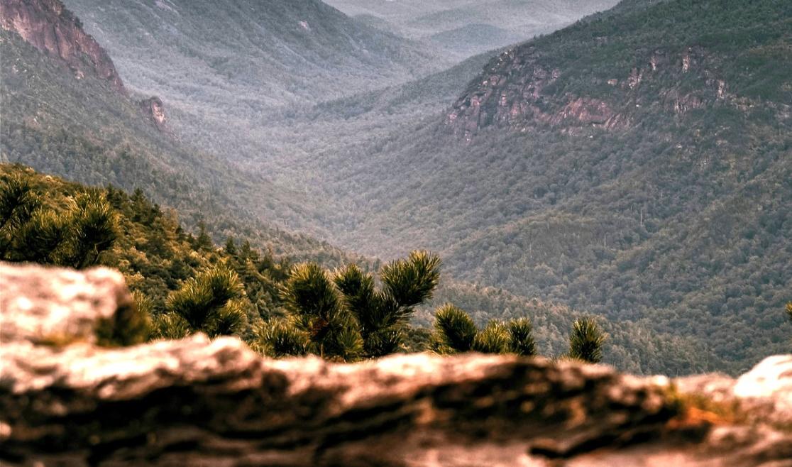 Linville gorge deals wilderness loop