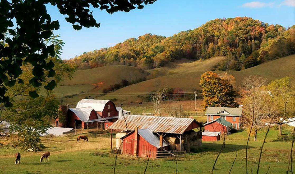 Shipley Farms.jpeg