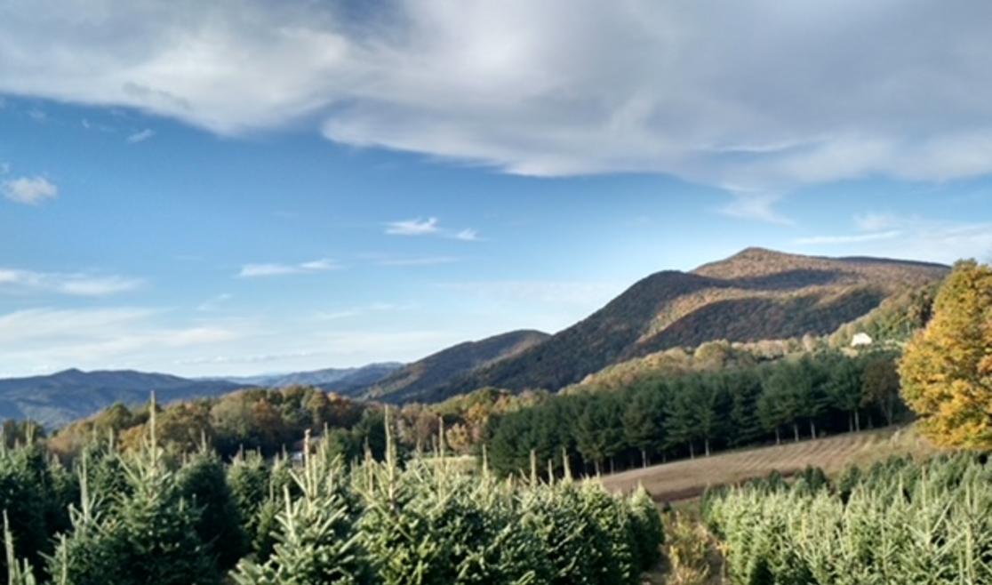 IMG_20151006_172620355_HDR (1).JPG