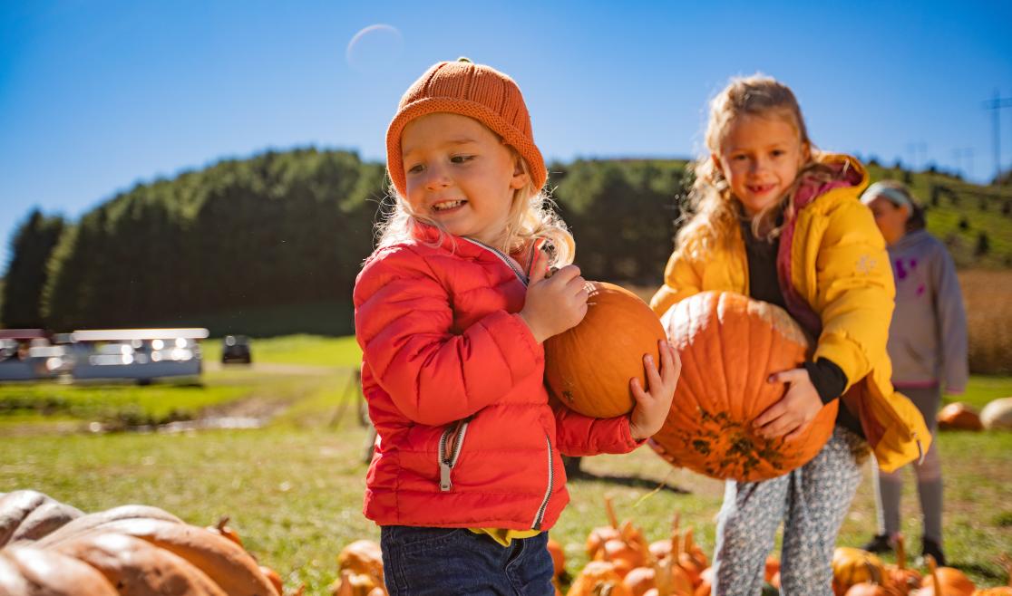 Harvest Farm Pumpkin Patch.jpg