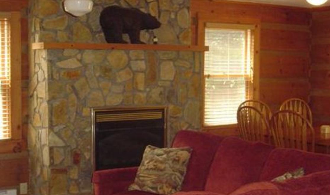 A Bear S Den