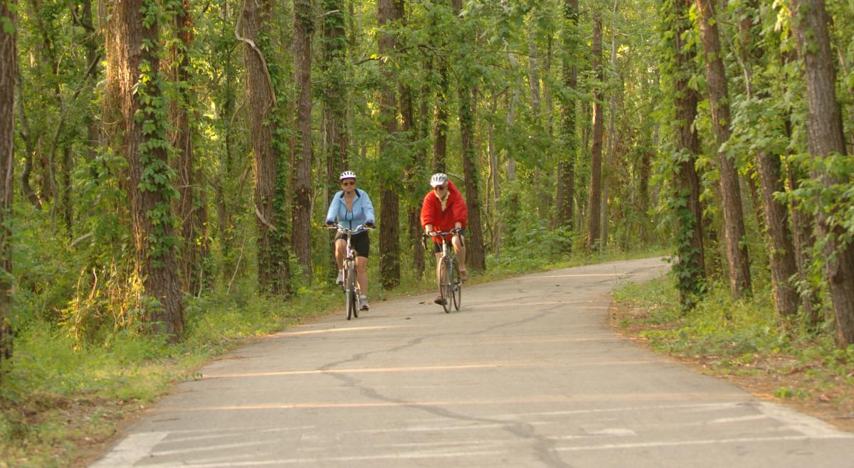 The 31-mile Tammany Trace hike and bike trail winds through Northshore towns and green spaces Cropped