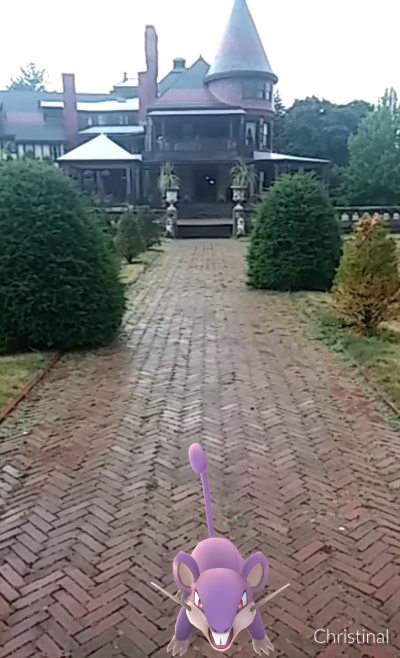 Rattata at Sonnenberg Gardens