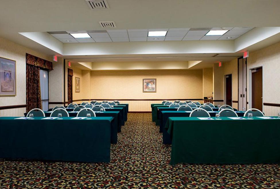 Holiday Inn Express Hotel & Suites - DFW Airport South - Meeting
