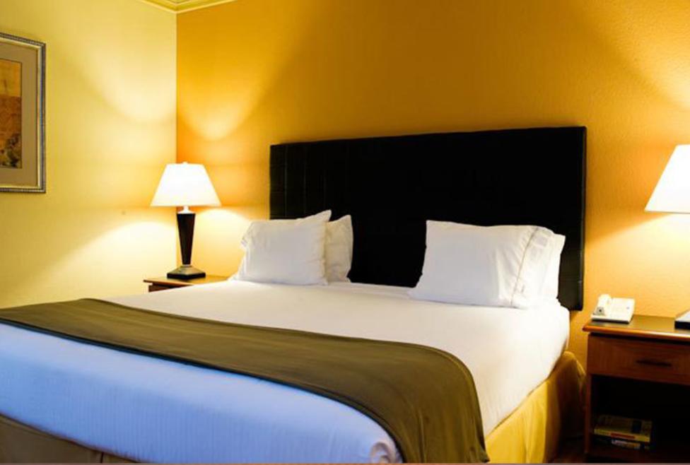 Holiday Inn Express Hotel & Suites - DFW Airport North - king