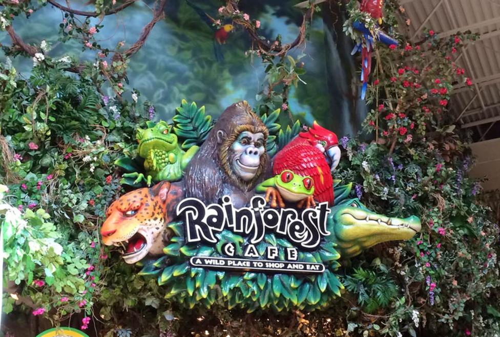 How much does it cost to open a rainforest cafe?