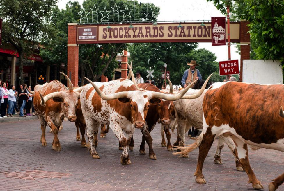 Stockyards Station