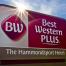 Best Western Plus Hammondsport Sign
