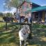 Mountain Rose Farm