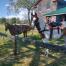 Mountain Rose Farm